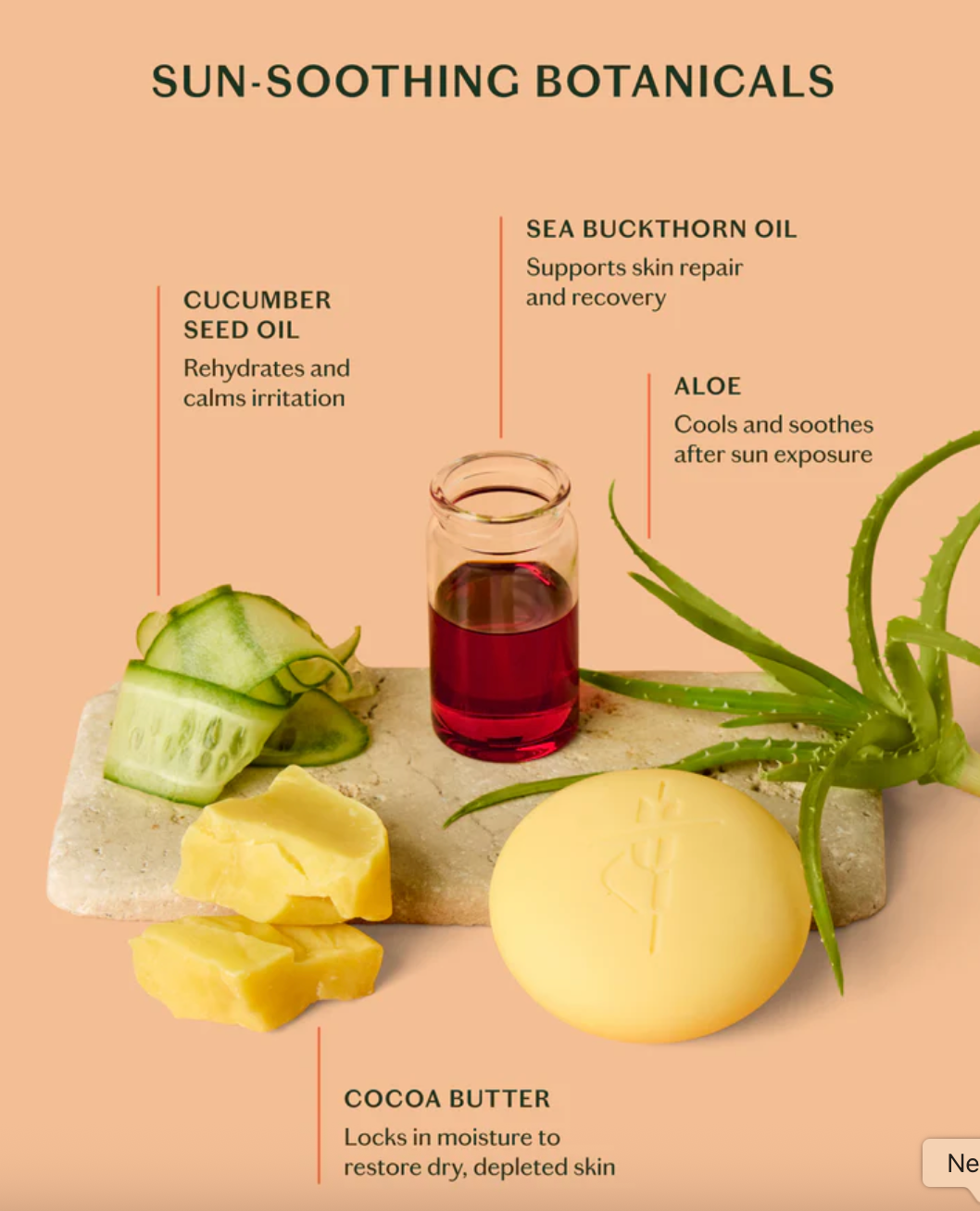 The Sun Stone | After Sun Balm & Lotion Bar