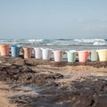 Palm Beach Bucket