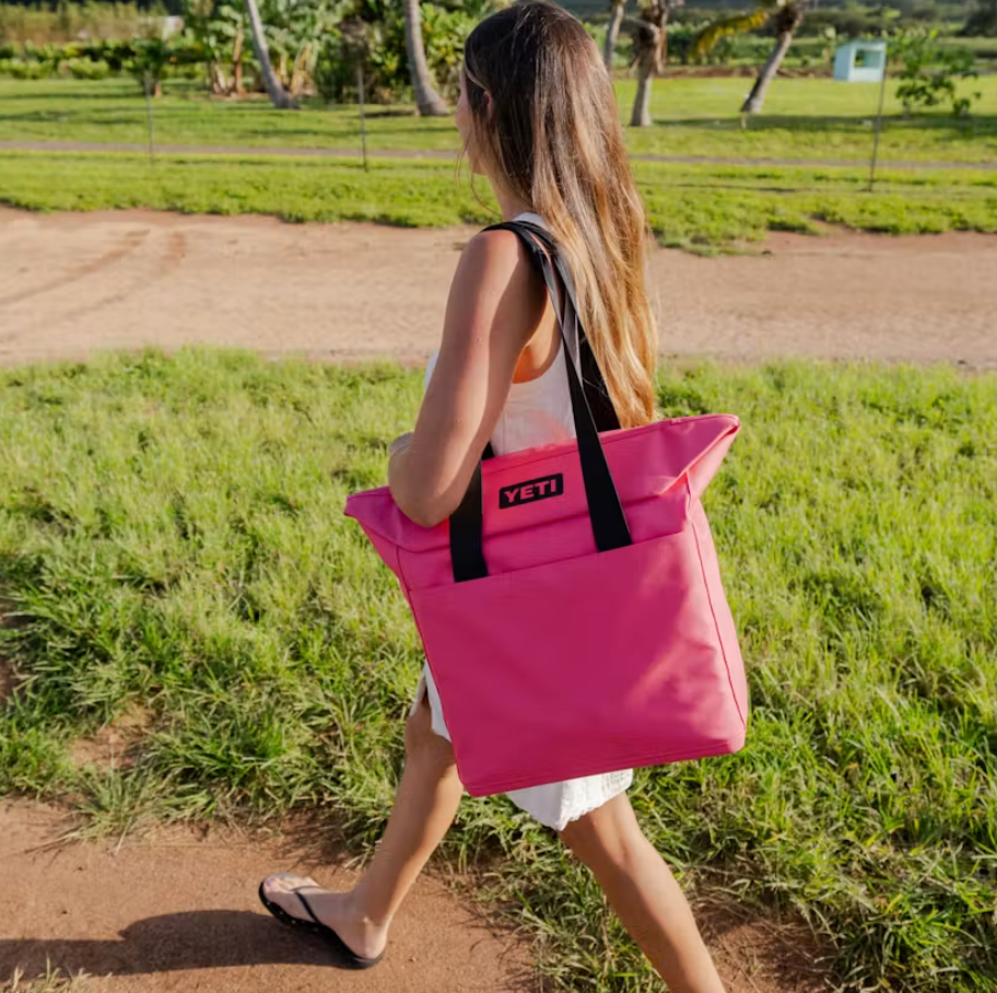 Daytrip 20L Insul Tote Bag - Cape Taupe