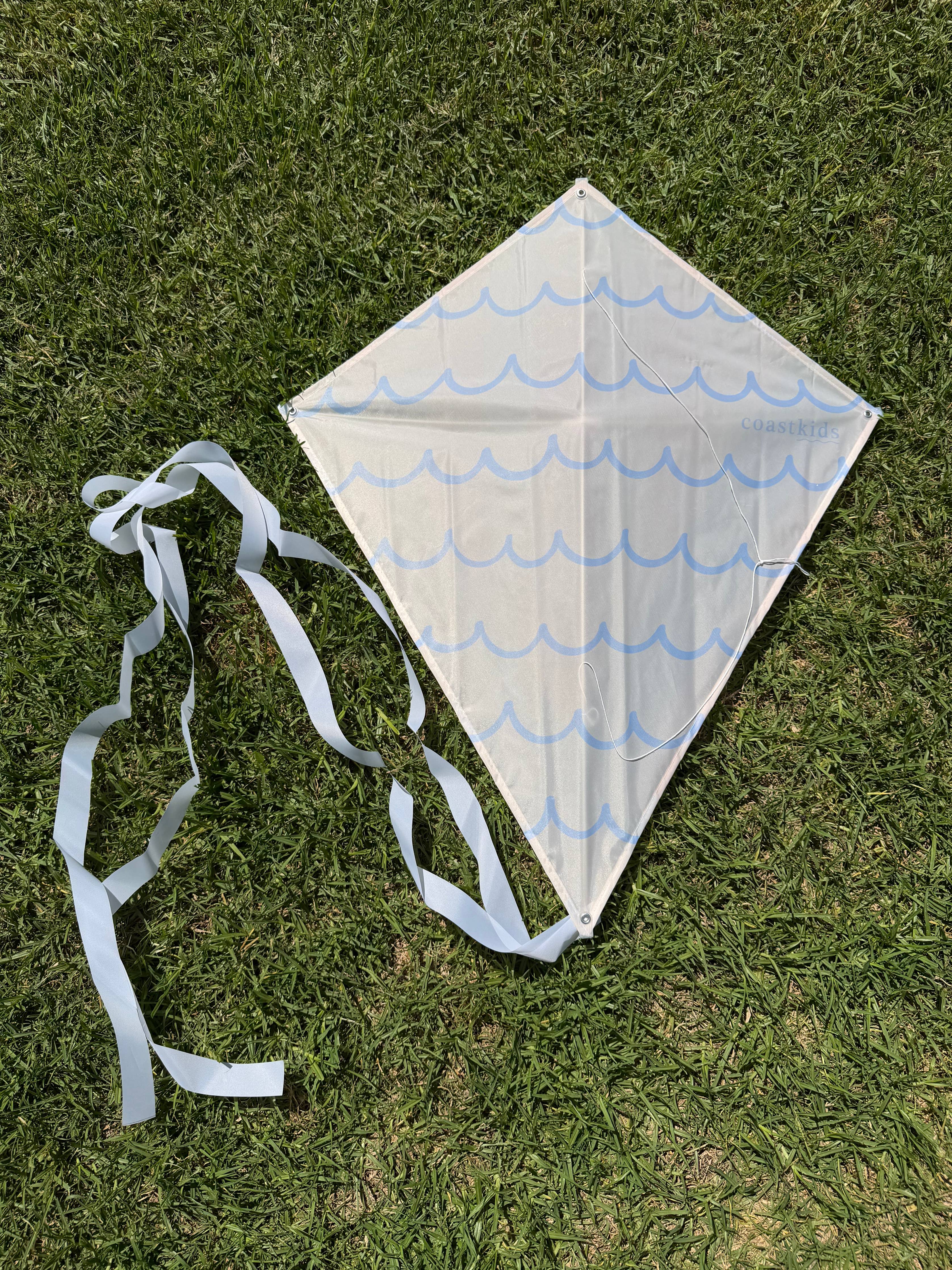 Kite