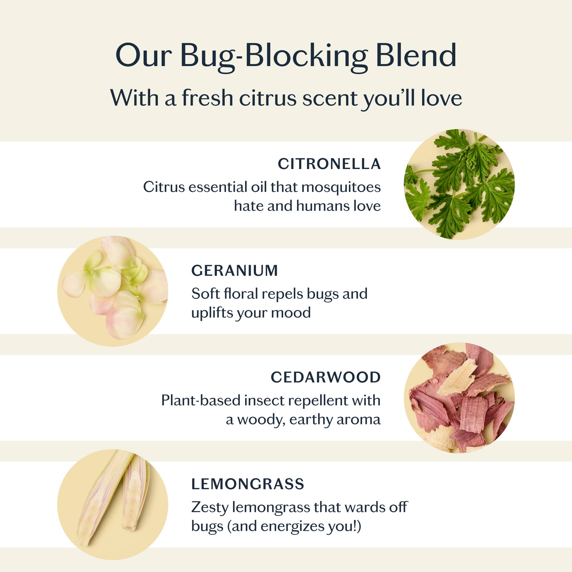 The Bug Balm | All-Natural Insect Repellent