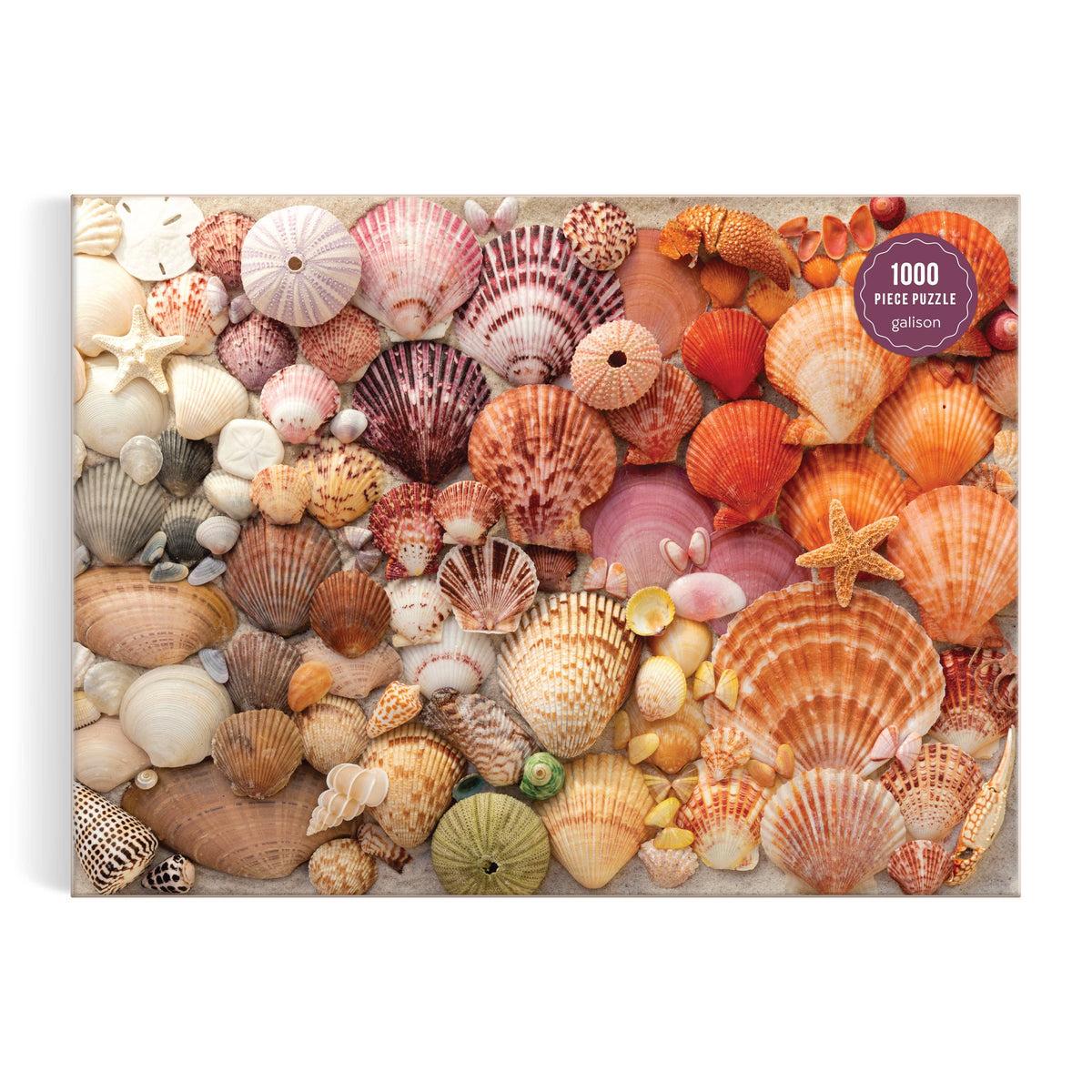 Vibrant Seashells 1000 Piece Puzzle